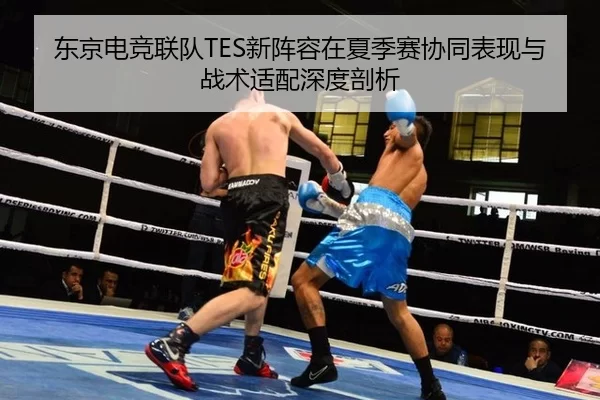 东京电竞联队TES新阵容在夏季赛协同表现与战术适配深度剖析