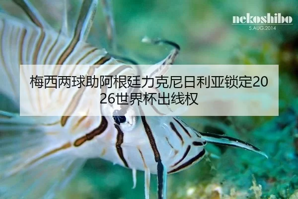 梅西两球助阿根廷力克尼日利亚锁定2026世界杯出线权