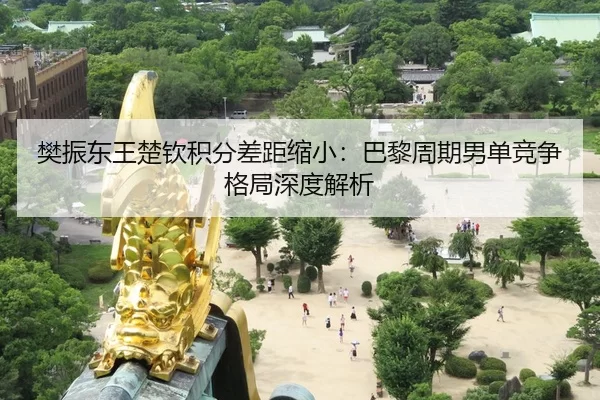 fan-zhen-dong-wang-chu-qin-ji-fen-cha-ju-suo-xiao-ba-li-zhou-qi-nan-dan-jing-zheng-ge-ju-shen-du-jie-xi-3-793.jpg